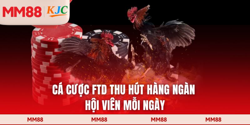 Cá cược FTD thu hút hàng ngàn hội viên mỗi ngày