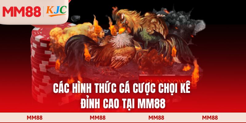 Các hình thức cá cược chọi kê đỉnh cao tại MM88