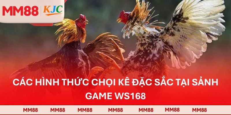Các hình thức chọi kê đặc sắc tại sảnh game WS168