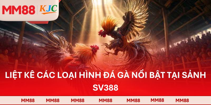 Liệt kê các loại hình đá gà nổi bật tại sảnh SV388