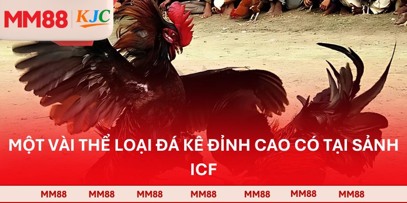 Một vài thể loại đá kê đỉnh cao có tại sảnh ICF