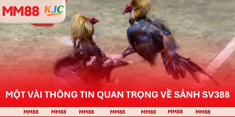 Một vài thông tin quan trọng về sảnh SV388