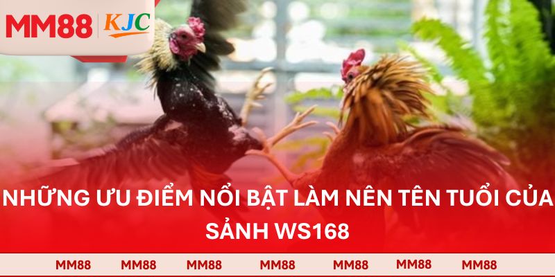 Những ưu điểm nổi bật làm nên tên tuổi của sảnh WS168