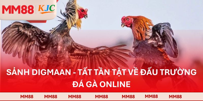 Sảnh Digmaan - Đấu Trường Đá Gà Online Đẳng Cấp Quốc Tế