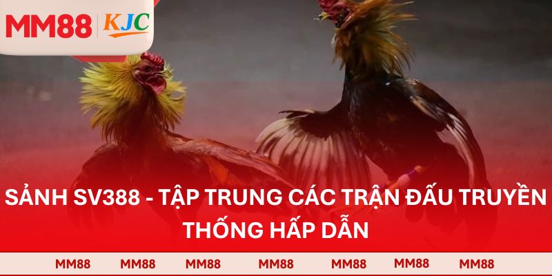 Sảnh SV388 - Tập Trung Các Trận Đấu Truyền Thống Hấp Dẫn