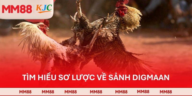 Tìm hiểu sơ lược về sảnh Digmaan