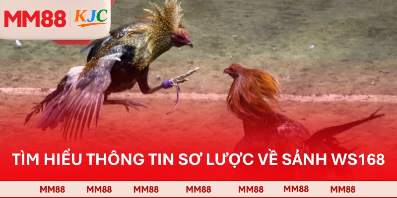 Tìm hiểu thông tin sơ lược về sảnh WS168