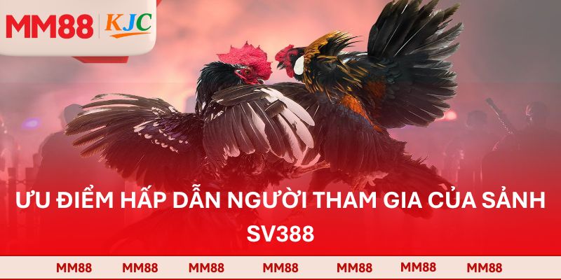 Ưu điểm hấp dẫn người tham gia của sảnh SV388